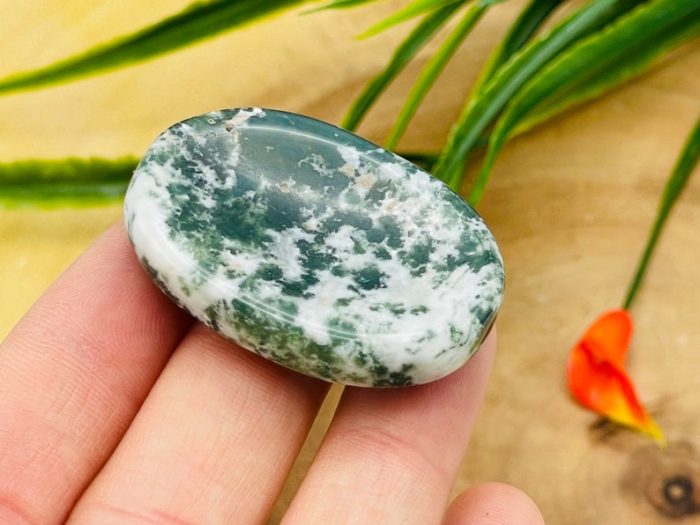 Moss Agate Worry Stone | Moss Agate Crystal Stone | Pocket Worry Stone | Metaphysical Healing Chakra Stone | Reiki Crystal