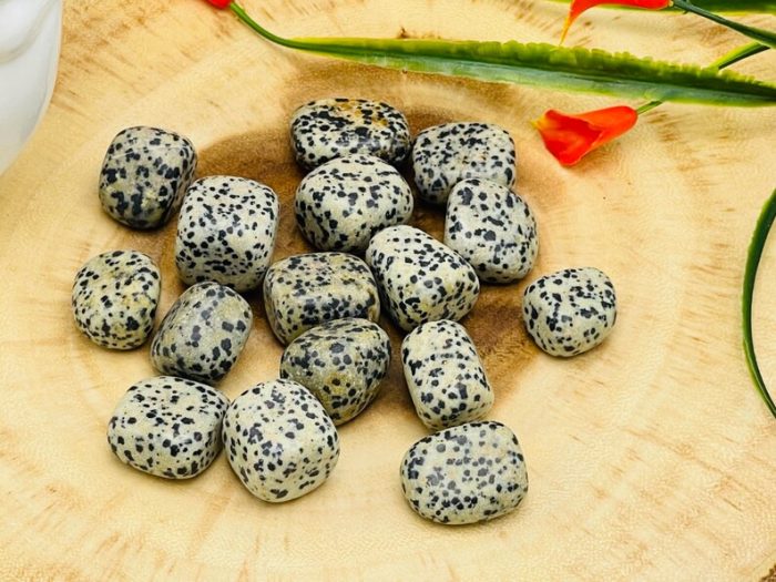 Dalmatian Jasper Tumbled Stones | Pocket Polished Gemstones | Healing Tumbled Crystals | Chakra Tumbled Rocks | Reiki Stone