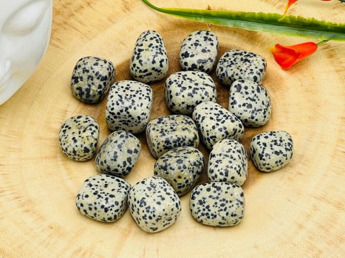 Dalmatian Jasper Tumbled Stones | Pocket Polished Gemstones | Healing Tumbled Crystals | Chakra Tumbled Rocks | Reiki Stone