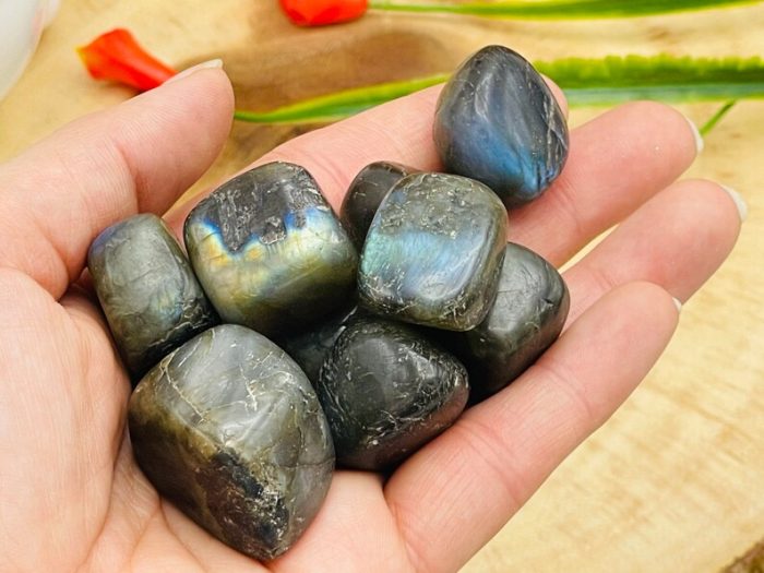 Labradorite Tumbled Stones | Pocket Polished Gemstones | Labradorite Healing Tumbled Crystals | Chakra Tumbled Rocks | Reiki Stone