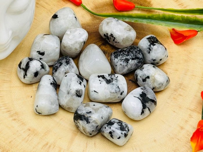 Rainbow Moonstone Tumbled Stones | Pocket Polished Gemstones | Moonstone Healing Tumbled Crystals | Chakra Tumbled Rocks | Reiki Stone