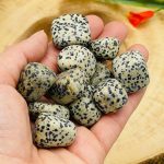 Dalmatian Jasper Tumbled Stones | Pocket Polished Gemstones | Healing Tumbled Crystals | Chakra Tumbled Rocks | Reiki Stone