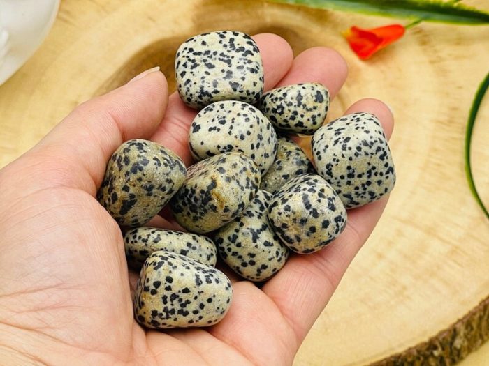 Dalmatian Jasper Tumbled Stones | Pocket Polished Gemstones | Healing Tumbled Crystals | Chakra Tumbled Rocks | Reiki Stone