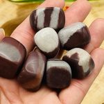 Shiva Lingam Tumbled Stone | Tumbled Crystal | Shiva Pocket Stone |  Lingam Stone | Crystal for Protection | Sacred Stone from Narmada River