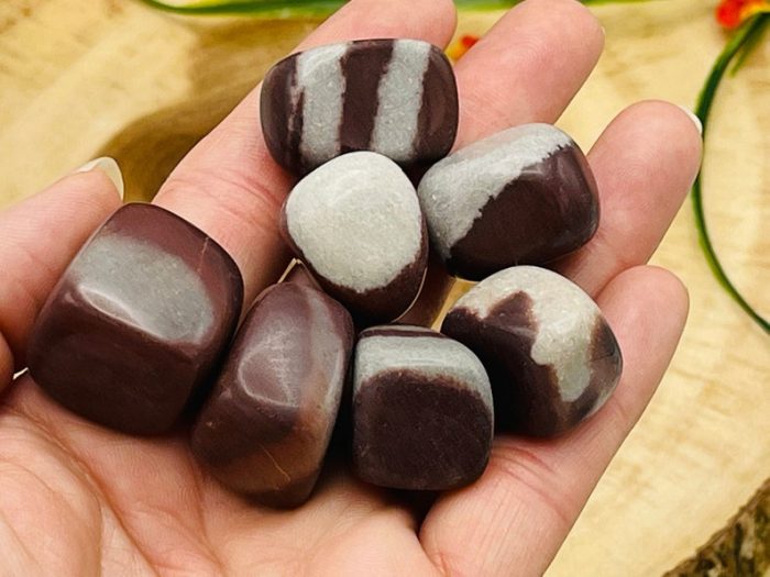 Shiva Lingam Tumbled Stone | Tumbled Crystal | Shiva Pocket Stone | Lingam Stone | Crystal for Protection | Sacred Stone from Narmada River