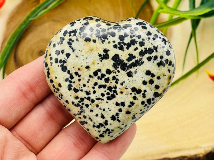 Dalmatian Jasper Heart | Dalmatian Jasper Crystal Heart | Cleansing & Balance | Metaphysical | Massage Stone