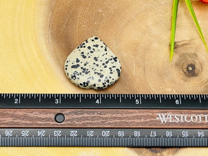 Dalmatian Jasper Heart | Dalmatian Jasper Crystal Heart | Cleansing & Balance | Metaphysical | Massage Stone