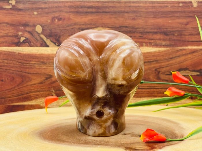 Caramel Calcite Alien Skull | Caramel Calcite Alien Head | Realistic Details | Handmade | Healing Crystal | Fine Art Sculpture