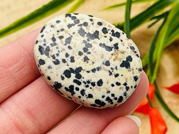 Dalmatian Jasper Smooth Stone | Dalmatian Jasper Stone | Dalmatian Jasper Gemstones | Pocket Stone