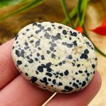 Dalmatian Jasper Smooth Stone | Dalmatian Jasper Stone | Dalmatian Jasper Gemstones | Pocket Stone
