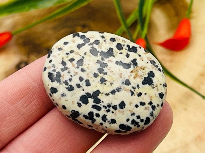 Dalmatian Jasper Smooth Stone | Dalmatian Jasper Stone | Dalmatian Jasper Gemstones | Pocket Stone