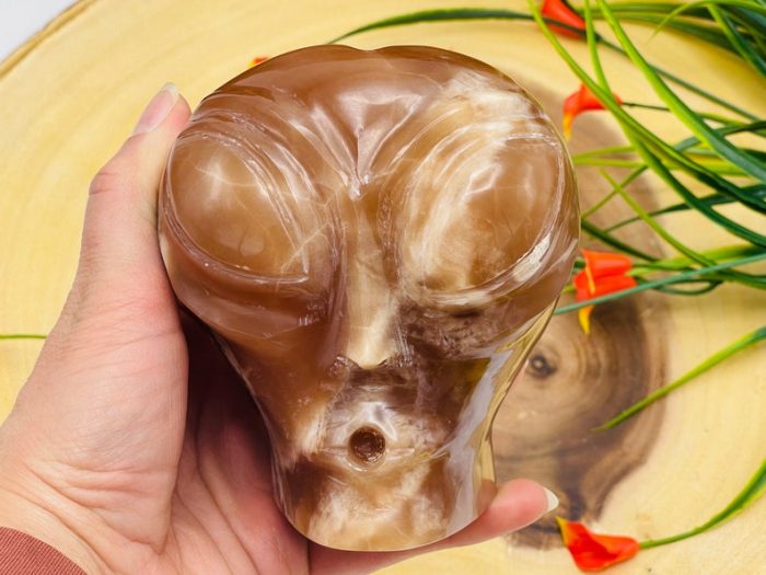 Caramel Calcite Alien Skull | Caramel Calcite Alien Head | Realistic Details | Handmade | Healing Crystal | Fine Art Sculpture