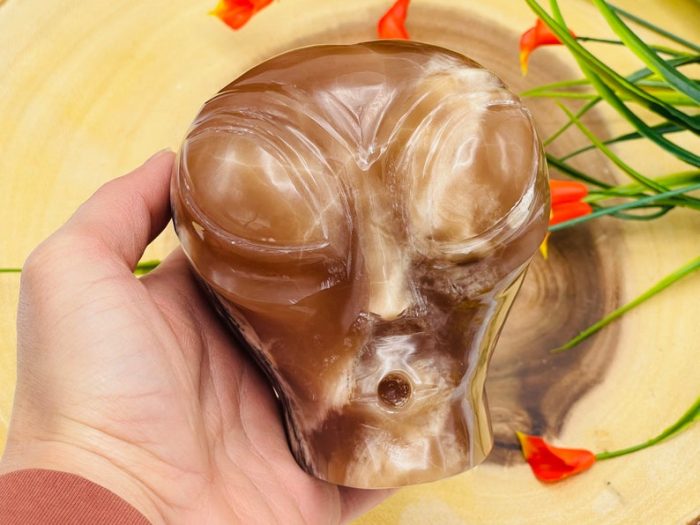 Caramel Calcite Alien Skull | Caramel Calcite Alien Head | Realistic Details | Handmade | Healing Crystal | Fine Art Sculpture