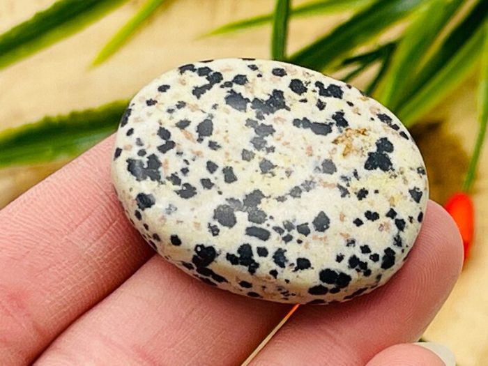 Dalmatian Jasper Smooth Stone | Dalmatian Jasper Stone | Dalmatian Jasper Gemstones | Pocket Stone