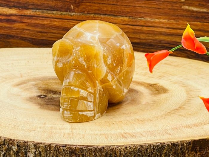 Citrine Calcite Skull | Honey Calcite Skull | Realistic Details | Handmade Crystal | Healing Fine Art Sculpture | Metaphysical Skull