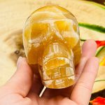 Citrine Calcite Skull | Honey Calcite Skull | Realistic Details | Handmade Crystal | Healing Fine Art Sculpture | Metaphysical Skull