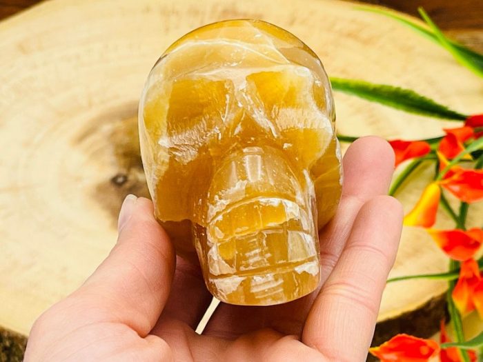 Citrine Calcite Skull | Honey Calcite Skull | Realistic Details | Handmade Crystal | Healing Fine Art Sculpture | Metaphysical Skull