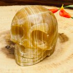 Citrine Calcite Skull | Honey Calcite Skull | Realistic Details | Hand Carved Crystal | Healing Fine Art Sculpture | Metaphysical Skull