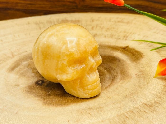 Yellow Calcite Skull | Orange Calcite Skull | Realistic Details | Healing Fine Art Sculpture | Metaphysical Stone