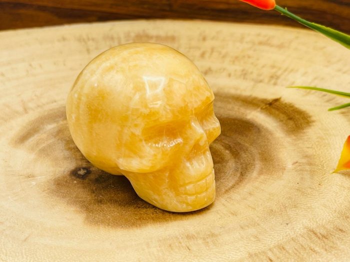 Yellow Calcite Skull | Orange Calcite Skull | Realistic Details | Healing Fine Art Sculpture | Metaphysical Stone