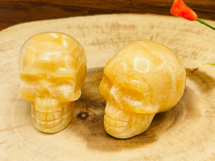 Yellow Calcite Skull | Orange Calcite Skull | Realistic Details | Healing Fine Art Sculpture | Metaphysical Stone