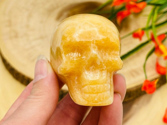 Yellow Calcite Skull | Orange Calcite Skull | Realistic Details | Healing Fine Art Sculpture | Metaphysical Stone