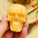 Yellow Calcite Skull | Orange Calcite Skull | Realistic Details | Healing Fine Art Sculpture | Metaphysical Stone