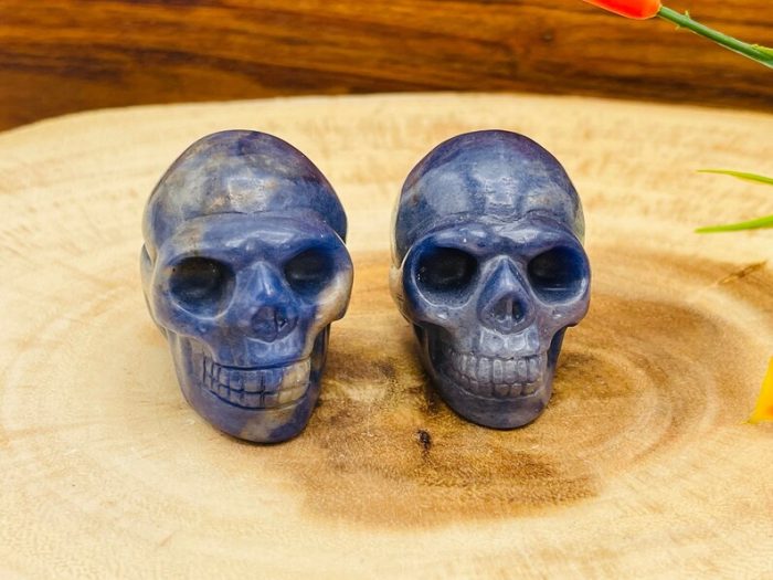 Sodalite Skull | Sodalite Crystal Skull | Realistic Details | Healing Fine Art Sculpture | Metaphysical Stone | 2 inch