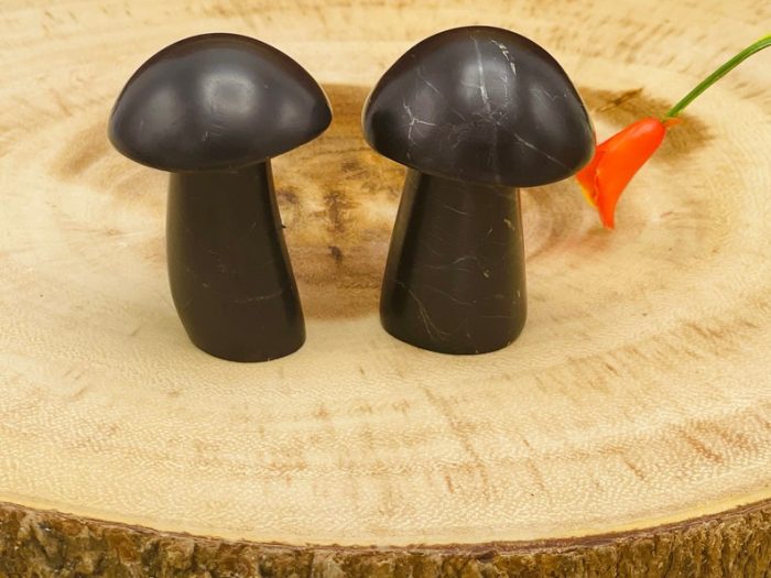 Shungite Massage Mushroom | Healing Crystal Mushroom | Face Skin Care Beauty | Massage Roller | Facial Massage Tool