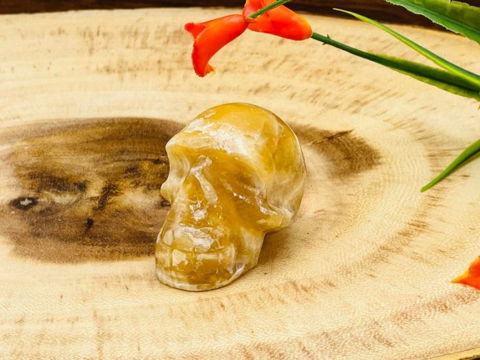 Citrine Calcite Skull | Honey Calcite Skull | Realistic Details | Handmade Crystal | Healing Fine Art Sculpture | Metaphysical Skull