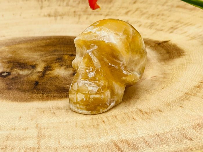 Citrine Calcite Skull | Honey Calcite Skull | Realistic Details | Handmade Crystal | Healing Fine Art Sculpture | Metaphysical Skull