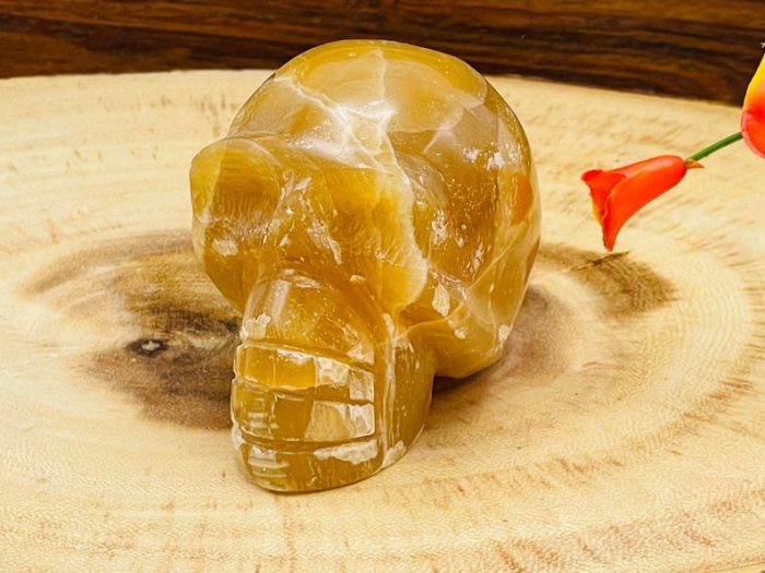 Citrine Calcite Skull | Honey Calcite Skull | Realistic Details | Handmade Crystal | Healing Fine Art Sculpture | Metaphysical Skull