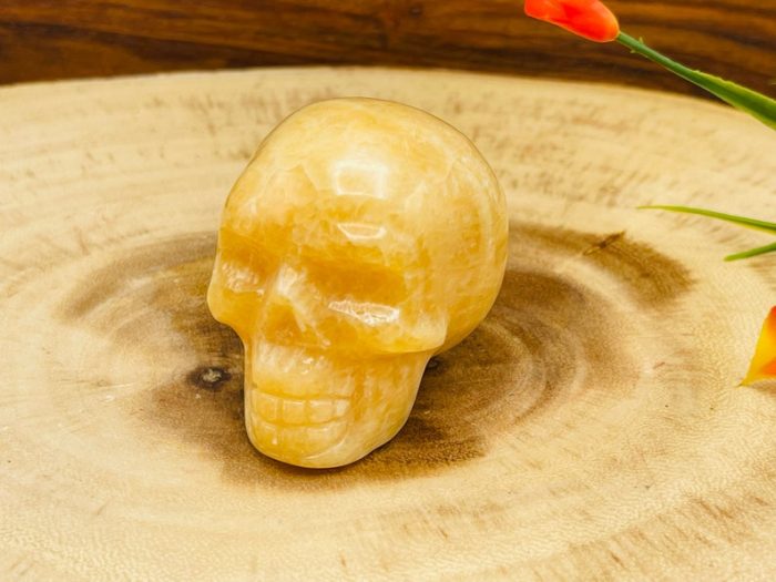 Yellow Calcite Skull | Orange Calcite Skull | Realistic Details | Healing Fine Art Sculpture | Metaphysical Stone