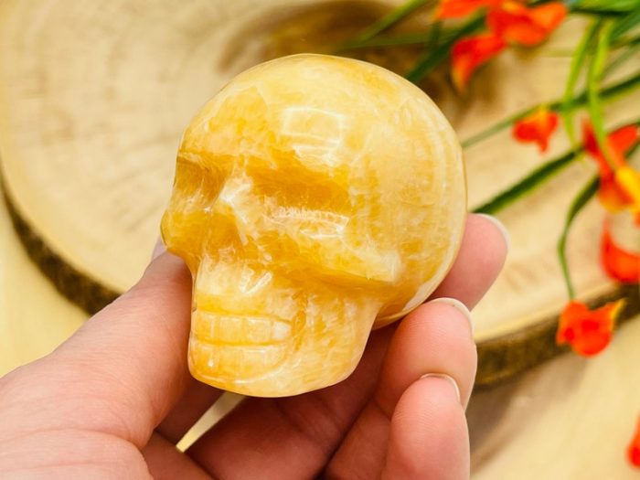 Yellow Calcite Skull | Orange Calcite Skull | Realistic Details | Healing Fine Art Sculpture | Metaphysical Stone