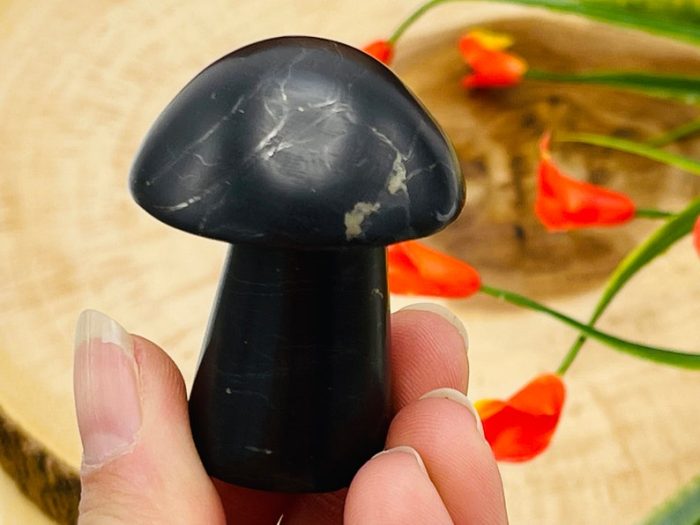 Shungite Massage Mushroom | Healing Crystal Mushroom | Face Skin Care Beauty | Massage Roller | Facial Massage Tool