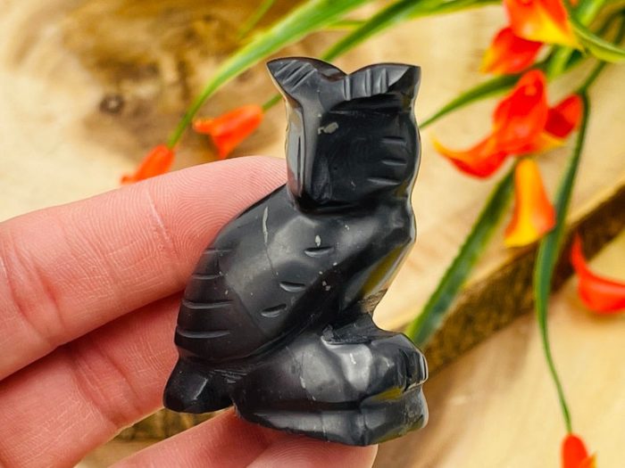 Shungite Figurine | Shungite Crystal Owl | Standing Statuette | Sacred Animal | Highly Energetic Metaphysical | EMF Protection | 2 inch