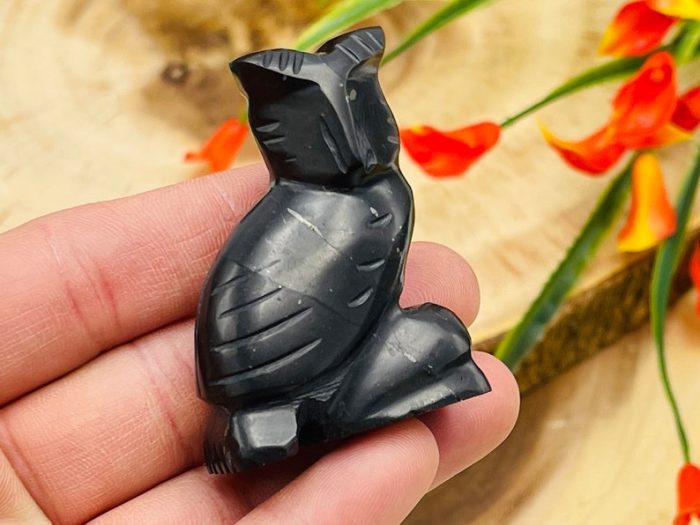 Shungite Figurine | Shungite Crystal Owl | Standing Statuette | Sacred Animal | Highly Energetic Metaphysical | EMF Protection | 2 inch