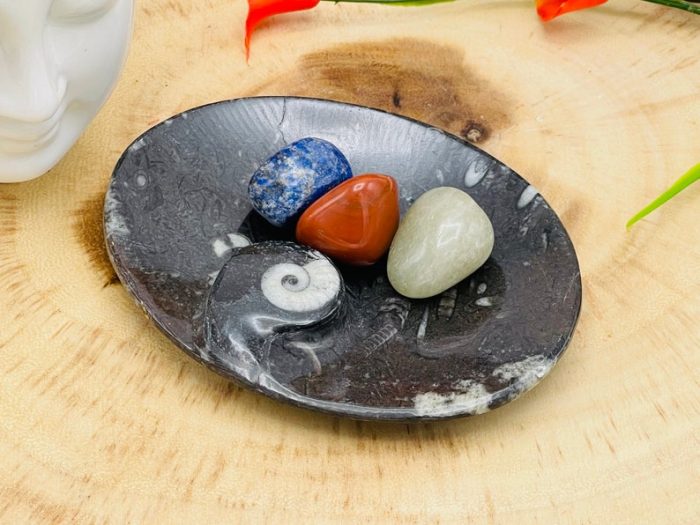 Orthoceras Bowl | Fossil Bowl for Incense and Crystals | Cleansing Bowl | Orthoceras Healing Crystal Plate | 5 inch