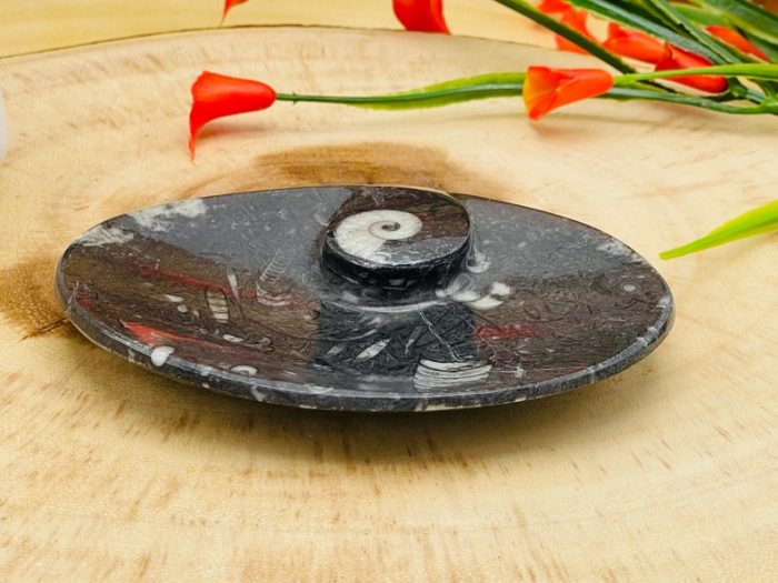 Orthoceras Bowl | Fossil Bowl for Incense and Crystals | Cleansing Bowl | Orthoceras Healing Crystal Plate | 5 inch