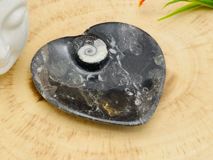 Orthoceras Heart Shape Bowl | Fossil Bowl for Incense and Crystals | Cleansing Bowl | Orthoceras Healing Crystal Plate | 4.5 inch