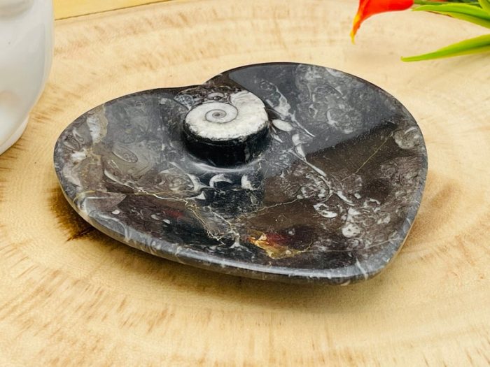 Orthoceras Heart Shape Bowl | Fossil Bowl for Incense and Crystals | Cleansing Bowl | Orthoceras Healing Crystal Plate | 4.5 inch