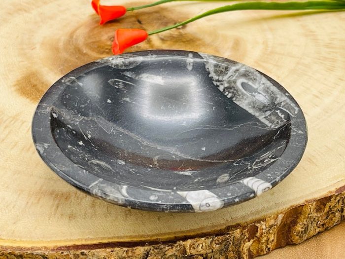 Orthoceras Round Bowl | Fossil Bowl for Incense and Crystals | Cleansing Bowl | Orthoceras Healing Crystal Plate | 4 inch