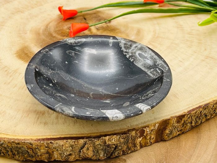 Orthoceras Round Bowl | Fossil Bowl for Incense and Crystals | Cleansing Bowl | Orthoceras Healing Crystal Plate | 4 inch