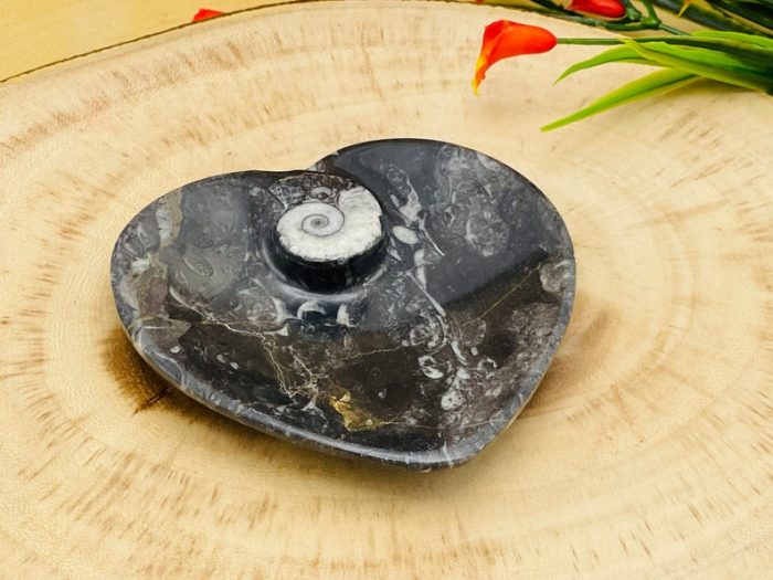 Orthoceras Heart Shape Bowl | Fossil Bowl for Incense and Crystals | Cleansing Bowl | Orthoceras Healing Crystal Plate | 4.5 inch