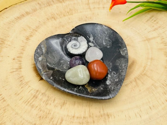 Orthoceras Heart Shape Bowl | Fossil Bowl for Incense and Crystals | Cleansing Bowl | Orthoceras Healing Crystal Plate | 4.5 inch