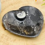 Orthoceras Heart Shape Bowl | Fossil Bowl for Incense and Crystals | Cleansing Bowl | Orthoceras Healing Crystal Plate | 4.5 inch