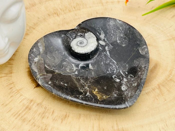 Orthoceras Heart Shape Bowl | Fossil Bowl for Incense and Crystals | Cleansing Bowl | Orthoceras Healing Crystal Plate | 4.5 inch