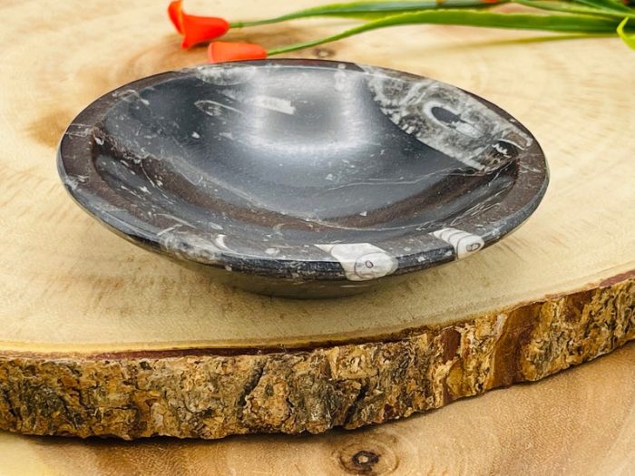 Orthoceras Round Bowl | Fossil Bowl for Incense and Crystals | Cleansing Bowl | Orthoceras Healing Crystal Plate | 4 inch