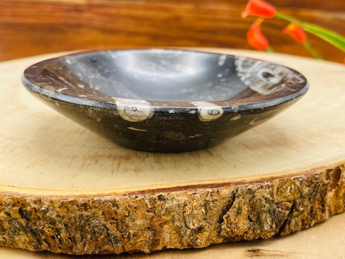 Orthoceras Round Bowl | Fossil Bowl for Incense and Crystals | Cleansing Bowl | Orthoceras Healing Crystal Plate | 4 inch