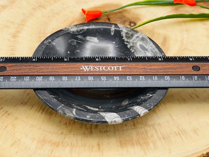 Orthoceras Round Bowl | Fossil Bowl for Incense and Crystals | Cleansing Bowl | Orthoceras Healing Crystal Plate | 4 inch